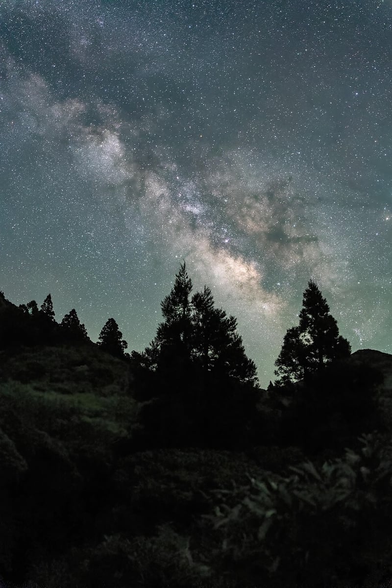 Camping under the Stars
