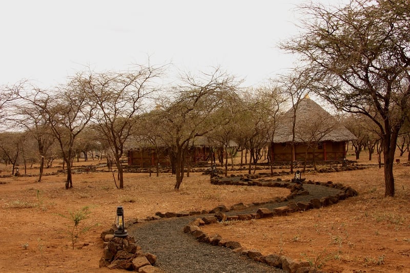 Tented Lodge in Nature